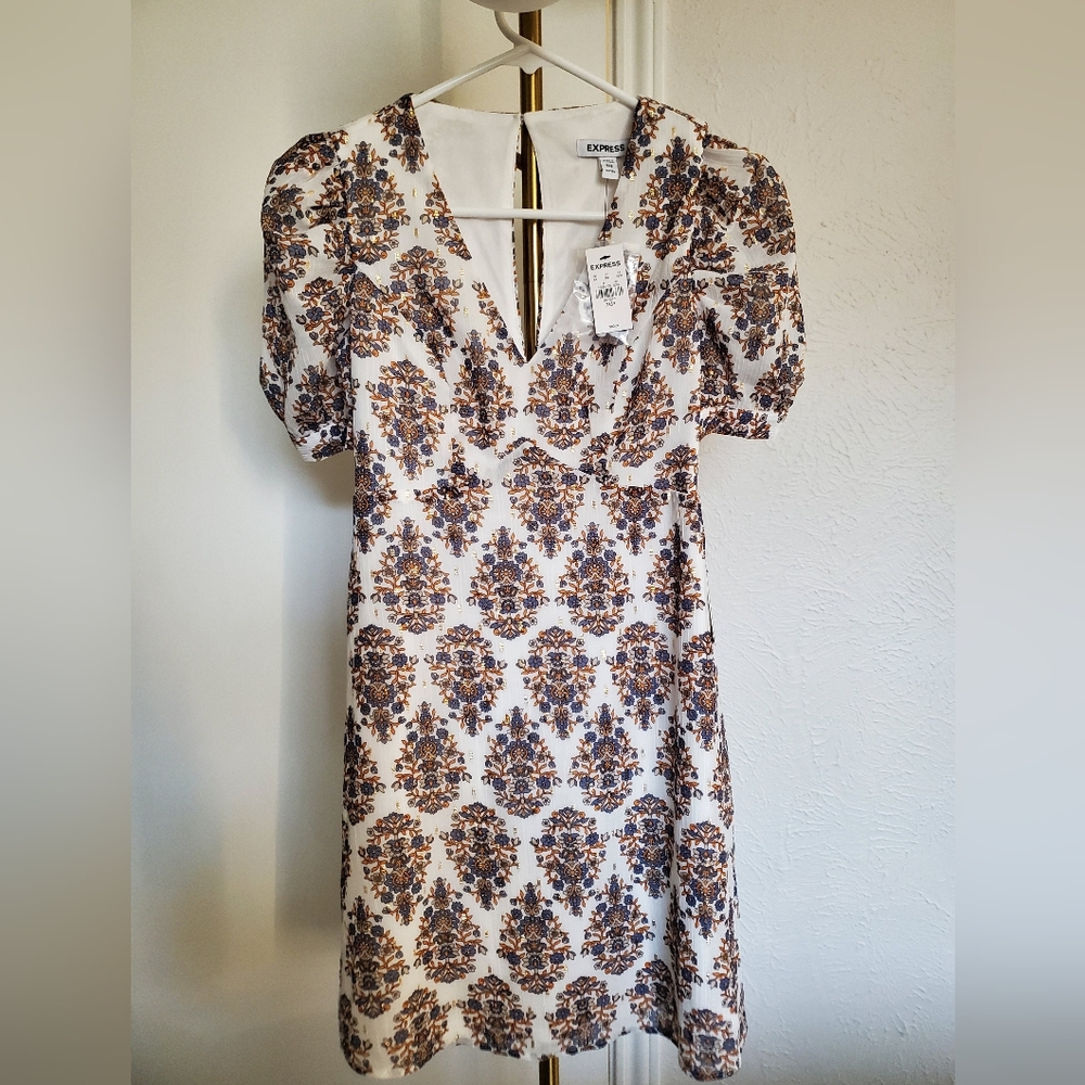 Express Ivory, Gold, Blue, And Tan Floral Mini Dress